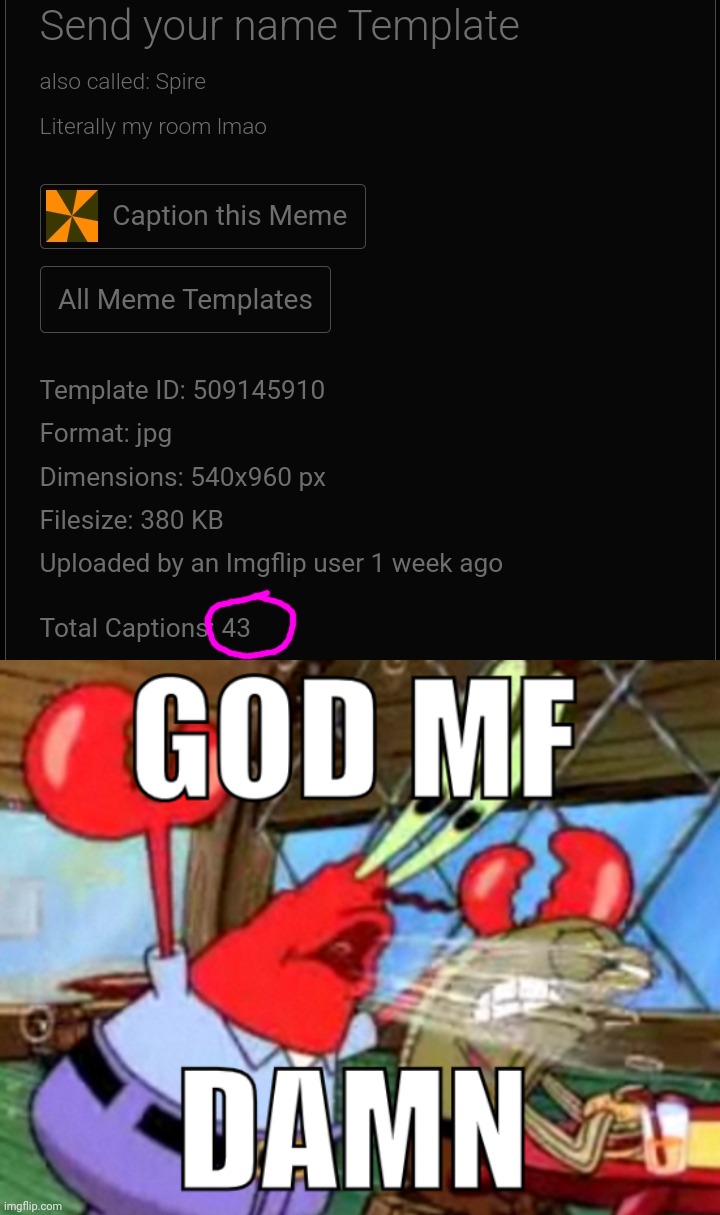 image tagged in god mf damn | made w/ Imgflip meme maker