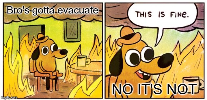 This Is Fine | Bro's gotta evacuate; NO IT'S NOT | image tagged in memes,this is fine | made w/ Imgflip meme maker