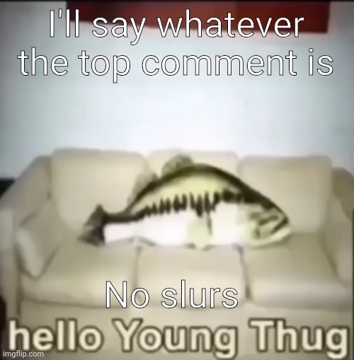 Hello Young Thug | I'll say whatever the top comment is; No slurs | image tagged in hello young thug | made w/ Imgflip meme maker