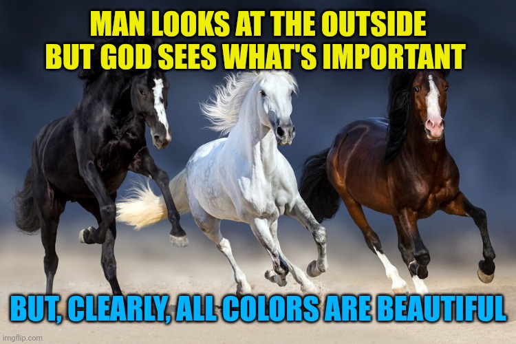 Horses | MAN LOOKS AT THE OUTSIDE BUT GOD SEES WHAT'S IMPORTANT; BUT, CLEARLY, ALL COLORS ARE BEAUTIFUL | image tagged in horses | made w/ Imgflip meme maker