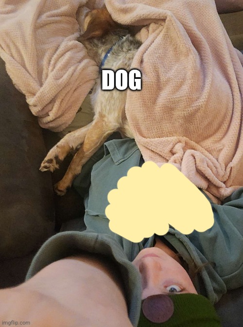 DOG | made w/ Imgflip meme maker