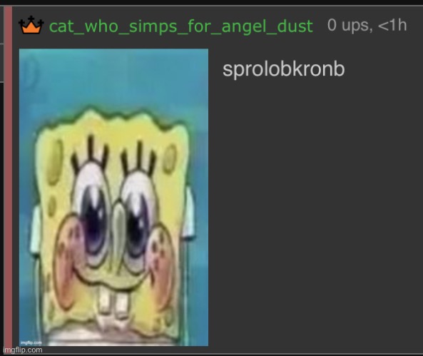 If someone woke is attacking you for making an offensive joke spam this image | made w/ Imgflip meme maker