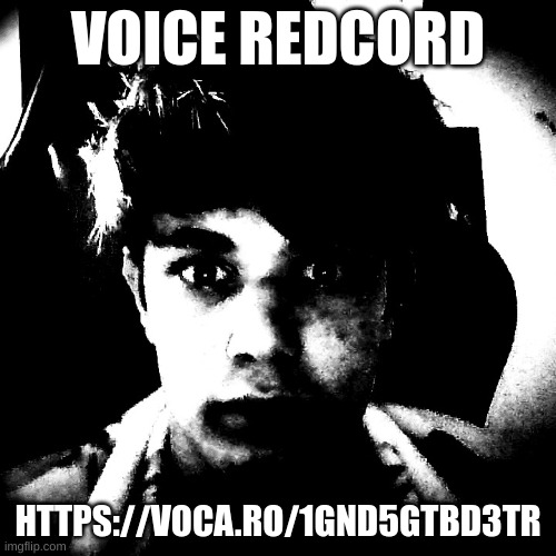 VOICE REDCORD; HTTPS://VOCA.RO/1GND5GTBD3TR | image tagged in scary riplos | made w/ Imgflip meme maker