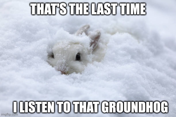 WINTER IS STILL HERE | THAT'S THE LAST TIME; I LISTEN TO THAT GROUNDHOG | image tagged in bunny,rabbit,groundhog day,winter | made w/ Imgflip meme maker