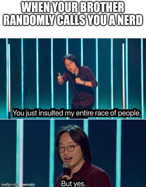 You just insulted my entire race of people | WHEN YOUR BROTHER RANDOMLY CALLS YOU A NERD | image tagged in you just insulted my entire race of people | made w/ Imgflip meme maker