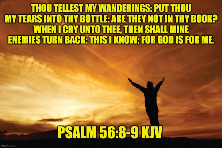 Praise the Lord | THOU TELLEST MY WANDERINGS: PUT THOU MY TEARS INTO THY BOTTLE: ARE THEY NOT IN THY BOOK?
WHEN I CRY UNTO THEE, THEN SHALL MINE ENEMIES TURN BACK: THIS I KNOW; FOR GOD IS FOR ME. PSALM 56:8-9 KJV | image tagged in praise the lord | made w/ Imgflip meme maker