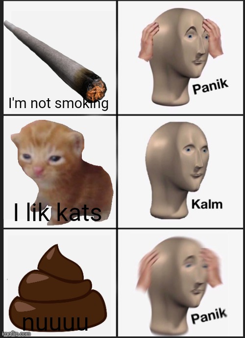 panik kalm panik | I'm not smoking; I lik kats; nuuuu | image tagged in memes,panik kalm panik | made w/ Imgflip meme maker