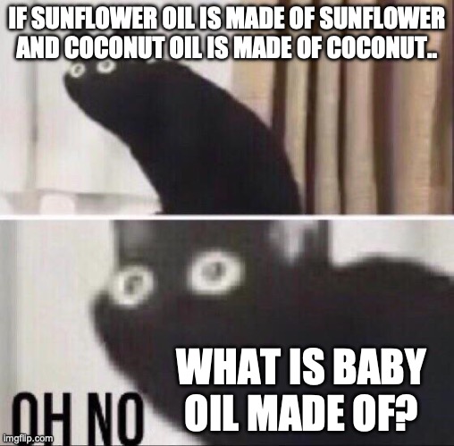 when we just realized | IF SUNFLOWER OIL IS MADE OF SUNFLOWER AND COCONUT OIL IS MADE OF COCONUT.. WHAT IS BABY OIL MADE OF? | image tagged in oh no cat | made w/ Imgflip meme maker