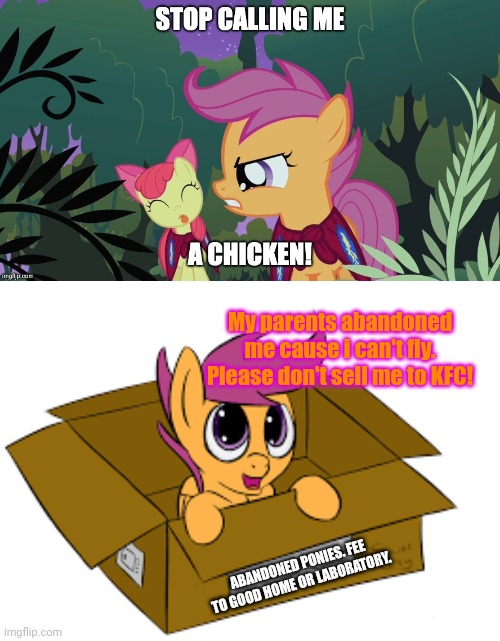 ABANDONED PONIES. FEE TO GOOD HOME OR LABORATORY. My parents abandoned me cause i can't fly. Please don't sell me to KFC! | made w/ Imgflip meme maker