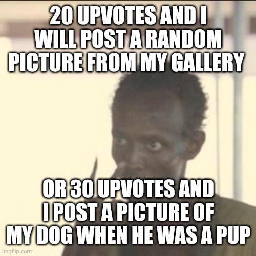 Look At Me Meme | 20 UPVOTES AND I WILL POST A RANDOM PICTURE FROM MY GALLERY; OR 30 UPVOTES AND I POST A PICTURE OF MY DOG WHEN HE WAS A PUP | image tagged in memes,look at me | made w/ Imgflip meme maker