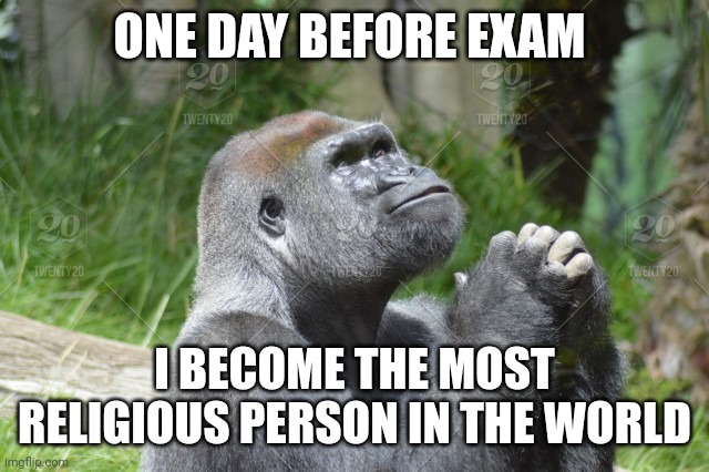 Day before exam | ONE DAY BEFORE EXAM; I BECOME THE MOST RELIGIOUS PERSON IN THE WORLD | image tagged in monkey pray | made w/ Imgflip meme maker