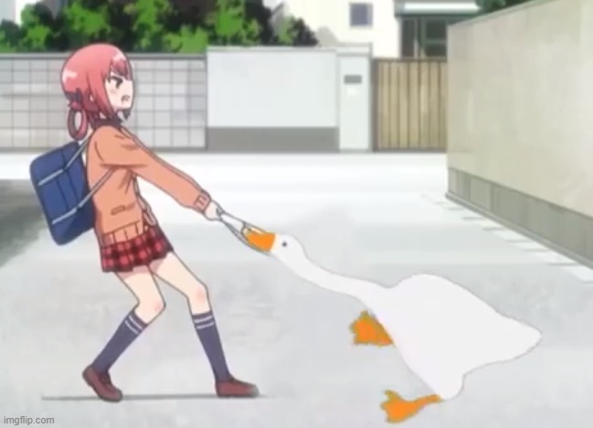 image tagged in untitled goose peace was never an option | made w/ Imgflip meme maker