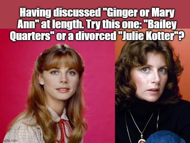 Bailey or Julie? | Having discussed "Ginger or Mary Ann" at length. Try this one: "Bailey Quarters" or a divorced "Julie Kotter"? | image tagged in 1970's,tv shows,tv series,tv,70's | made w/ Imgflip meme maker