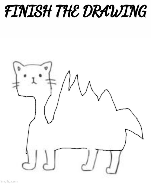 finish the drawing | image tagged in finish the drawing | made w/ Imgflip meme maker