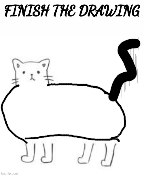 finish the drawing | image tagged in finish the drawing | made w/ Imgflip meme maker
