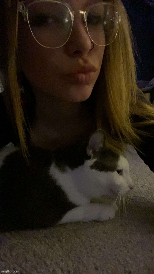 cute cat | made w/ Imgflip meme maker