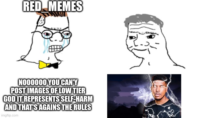 joking about red_memes until mods get involved | RED_MEMES; NOOOOOO YOU CAN'Y POST IMAGES OF LOW TIER GOD IT REPRESENTS SELF-HARM AND THAT'S AGAINS THE RULES | image tagged in noooo you can't just | made w/ Imgflip meme maker
