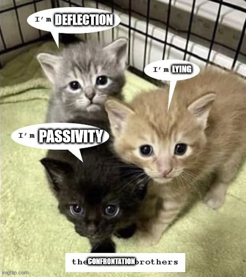 The Confrontation Avoidance Brothers | DEFLECTION; LYING; PASSIVITY; CONFRONTATION | image tagged in the cat brothers | made w/ Imgflip meme maker
