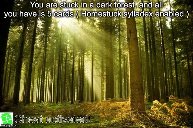 What would you do? | You are stuck in a dark forest, and all you have is 5 cards ( Homestuck sylladex enabled ); Cheat activated! | image tagged in dank forest | made w/ Imgflip meme maker