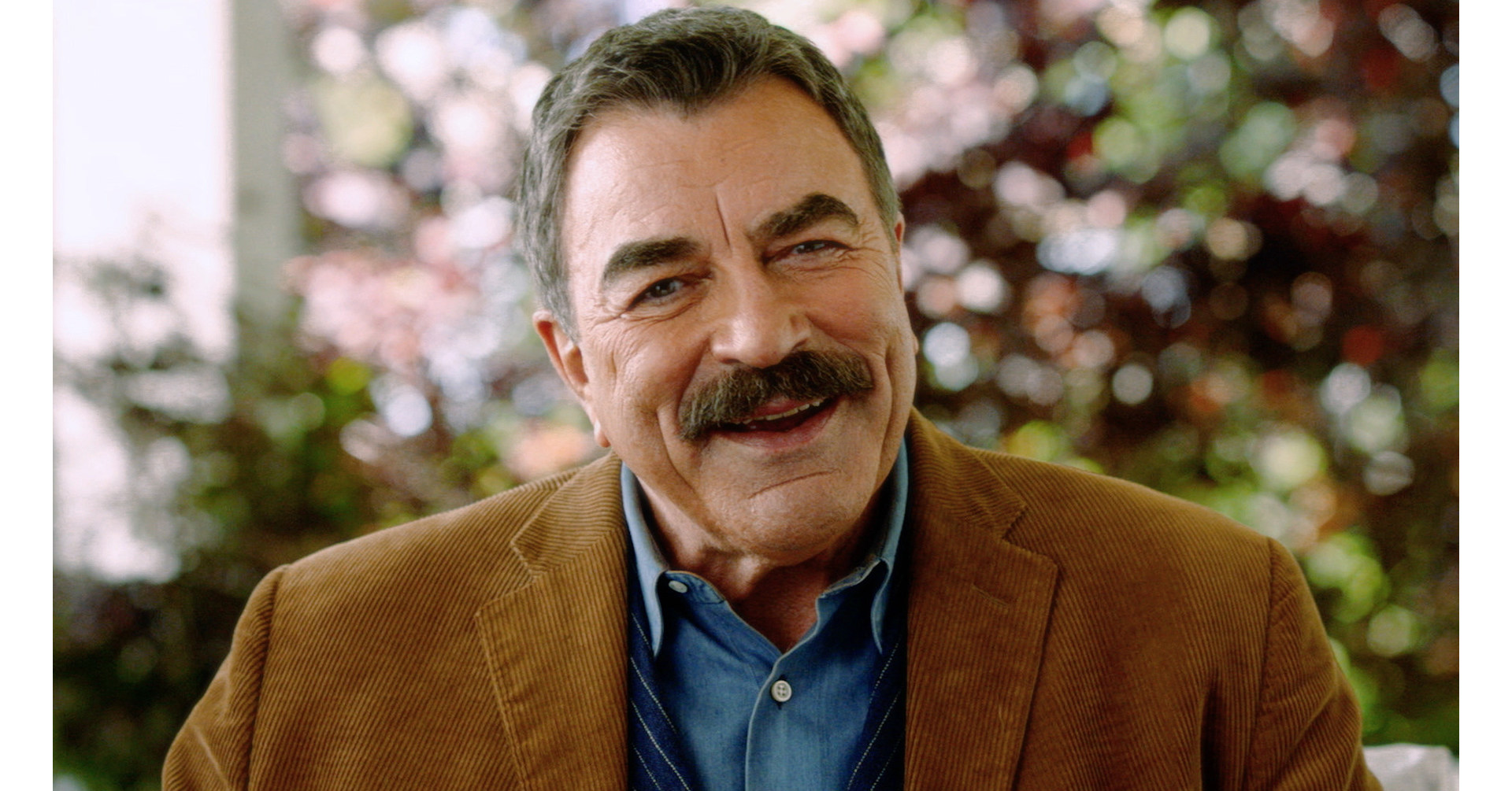 High Quality Tom Selleck Reverse Mortgage Blank Meme Template