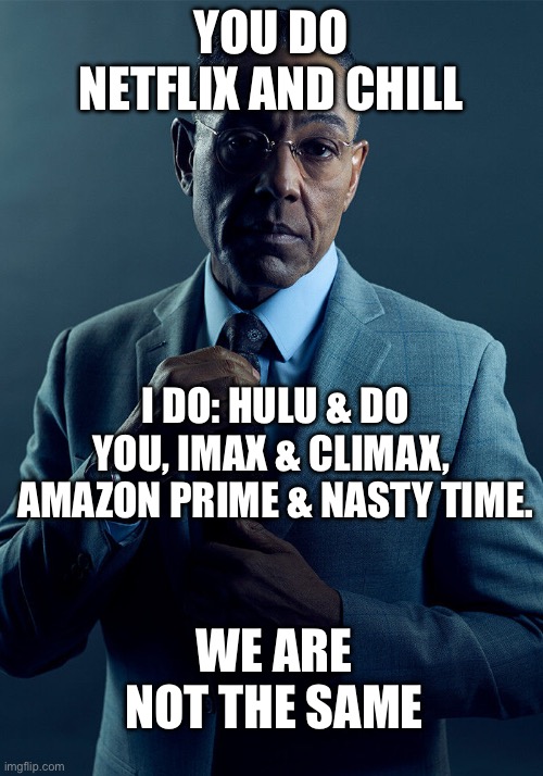 Who’s in? | YOU DO NETFLIX AND CHILL; I DO: HULU & DO YOU, IMAX & CLIMAX, 
AMAZON PRIME & NASTY TIME. WE ARE NOT THE SAME | image tagged in gus fring we are not the same,netflix and chill | made w/ Imgflip meme maker