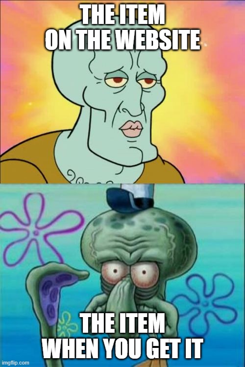 True | THE ITEM ON THE WEBSITE; THE ITEM WHEN YOU GET IT | image tagged in memes,squidward | made w/ Imgflip meme maker