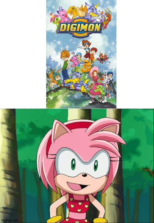 Amy rose loves Digimon | image tagged in amy rose swimsuit | made w/ Imgflip meme maker