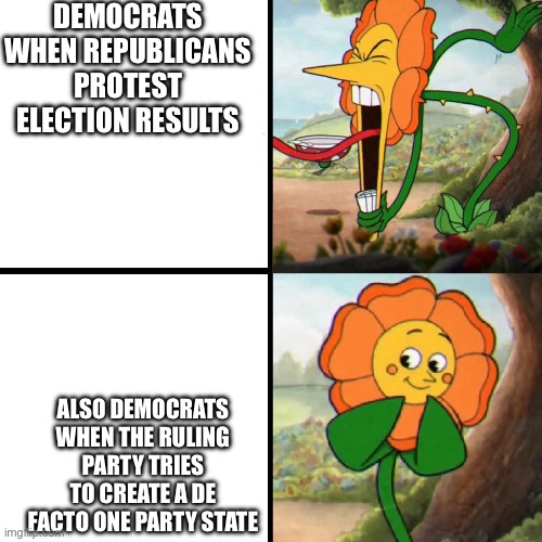 Cuphead Flower | DEMOCRATS WHEN REPUBLICANS PROTEST ELECTION RESULTS ALSO DEMOCRATS WHEN THE RULING PARTY TRIES TO CREATE A DE FACTO ONE PARTY STATE | image tagged in cuphead flower | made w/ Imgflip meme maker