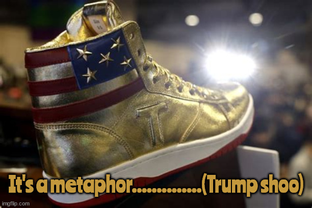 Take the hint loser.. | It's a metaphor..............(Trump shoo) | image tagged in trump shoe,wouldn't be caught dead in,suckers shoe,100 percent real cardboard,maga  t arget | made w/ Imgflip meme maker