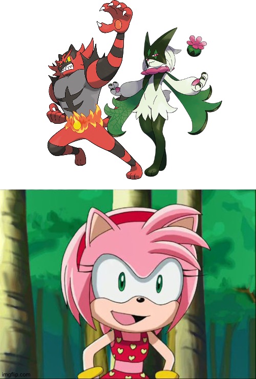 Amy rose loves Incineroar and Meowscarada as a couple | image tagged in amy rose swimsuit,pokemon | made w/ Imgflip meme maker