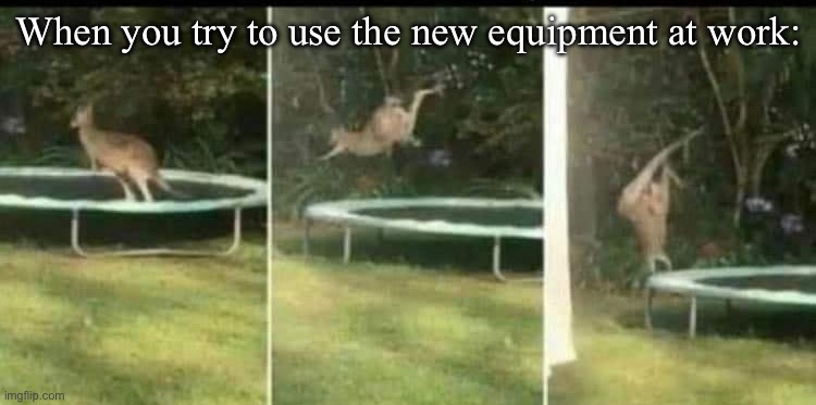 Worked well | When you try to use the new equipment at work: | image tagged in kangaroo,trampoline,equipment | made w/ Imgflip meme maker