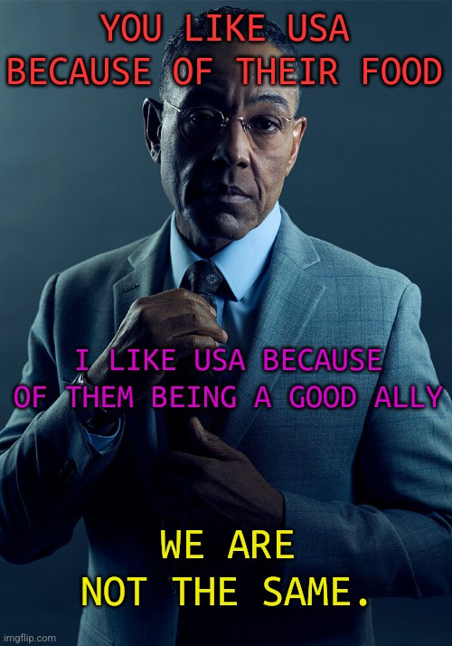 Gus Fring we are not the same | YOU LIKE USA BECAUSE OF THEIR FOOD; I LIKE USA BECAUSE OF THEM BEING A GOOD ALLY; WE ARE NOT THE SAME. | image tagged in gus fring we are not the same | made w/ Imgflip meme maker