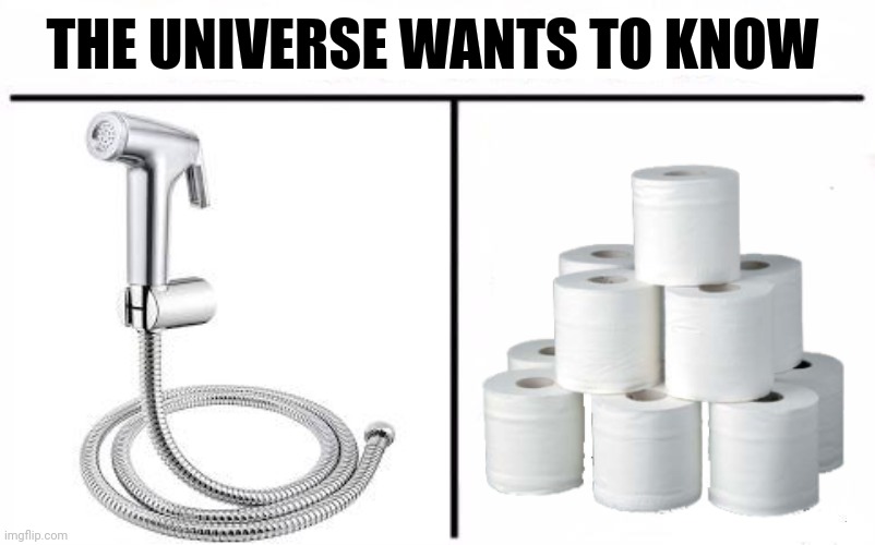I prefer the jet | THE UNIVERSE WANTS TO KNOW | image tagged in who would win blank,front page plz,dogs,funny,toilet paper,toilet | made w/ Imgflip meme maker