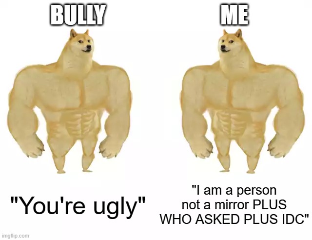 ABSOLUTE ROAST TO THE BULLY | BULLY; ME; "You're ugly"; "I am a person not a mirror PLUS WHO ASKED PLUS IDC" | image tagged in buff doge vs buff doge | made w/ Imgflip meme maker