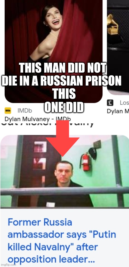 Mandela effect in real time | THIS MAN DID NOT DIE IN A RUSSIAN PRISON; THIS ONE DID | image tagged in bob dylan,bud light,fake news,dylan molveny,russia | made w/ Imgflip meme maker