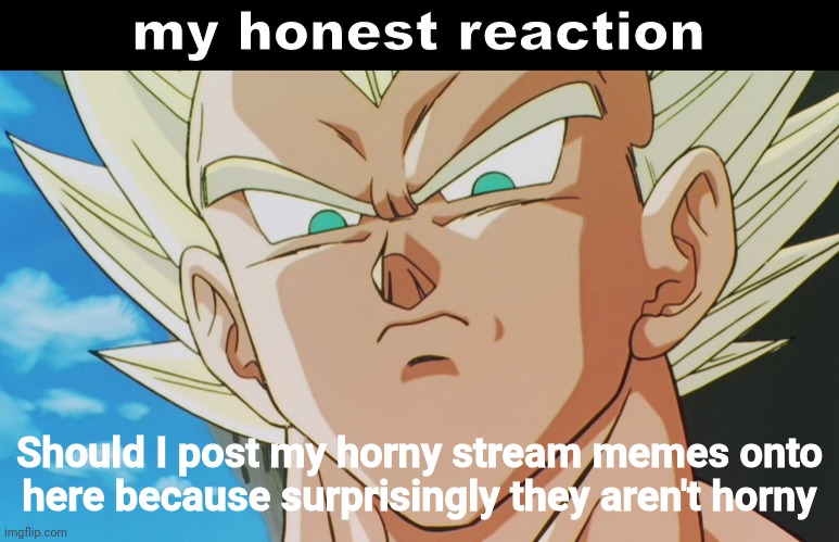 Vegeta my honest reaction | Should I post my horny stream memes onto here because surprisingly they aren't horny | image tagged in vegeta my honest reaction | made w/ Imgflip meme maker