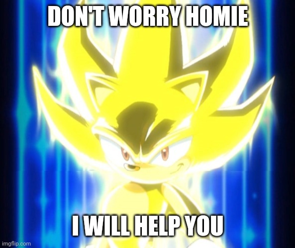 thank you sonic | DON'T WORRY HOMIE; I WILL HELP YOU | image tagged in super sonic meme | made w/ Imgflip meme maker