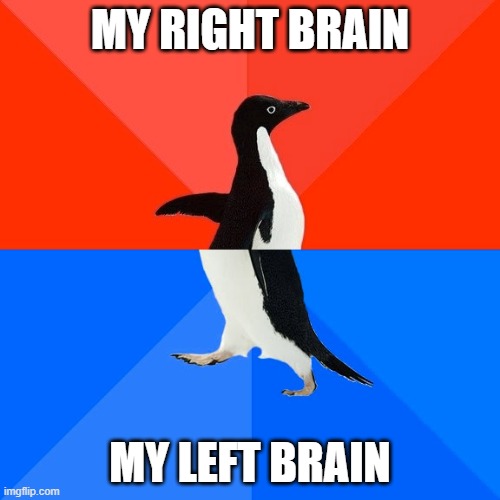 Socially Awesome Awkward Penguin | MY RIGHT BRAIN; MY LEFT BRAIN | image tagged in memes,socially awesome awkward penguin | made w/ Imgflip meme maker