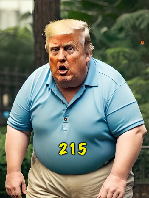Stupid, fat trump | 215 | image tagged in stupid fat trump | made w/ Imgflip meme maker