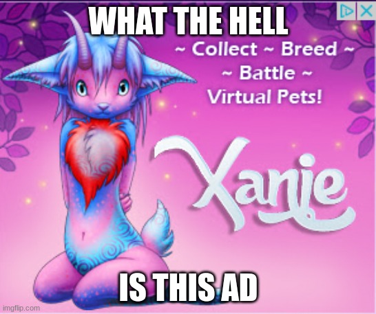 cursed ad | WHAT THE HELL; IS THIS AD | image tagged in you have been eternally cursed for reading the tags,certified bruh moment | made w/ Imgflip meme maker