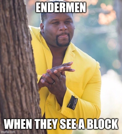 Black guy hiding behind tree | ENDERMEN; WHEN THEY SEE A BLOCK | image tagged in black guy hiding behind tree | made w/ Imgflip meme maker