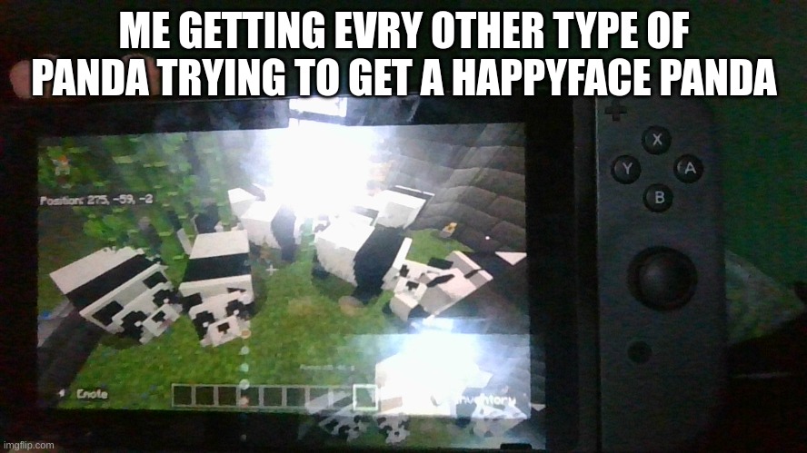 i got a BROWN panda first try when i wanted a happy panda and now i have 12 pandas | ME GETTING EVRY OTHER TYPE OF PANDA TRYING TO GET A HAPPYFACE PANDA | image tagged in panda | made w/ Imgflip meme maker
