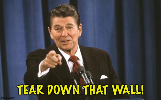 Ronald Reagan | TEAR DOWN THAT WALL! | image tagged in ronald reagan | made w/ Imgflip meme maker