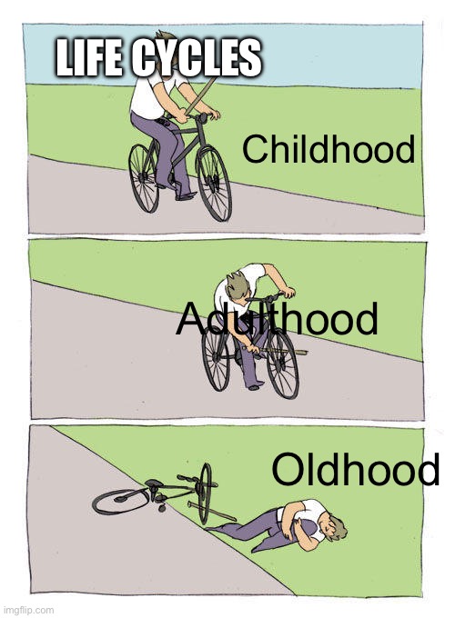 Bike Fall Meme | LIFE CYCLES; Childhood; Adulthood; Oldhood | image tagged in memes,bike fall | made w/ Imgflip meme maker