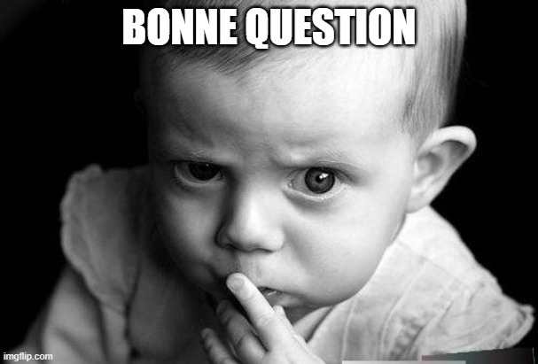 question | BONNE QUESTION | image tagged in question | made w/ Imgflip meme maker