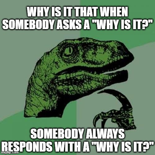 Philosoraptor Meme | WHY IS IT THAT WHEN SOMEBODY ASKS A "WHY IS IT?"; SOMEBODY ALWAYS RESPONDS WITH A "WHY IS IT?" | image tagged in memes,philosoraptor,why,hmmm,think about it,i wonder | made w/ Imgflip meme maker