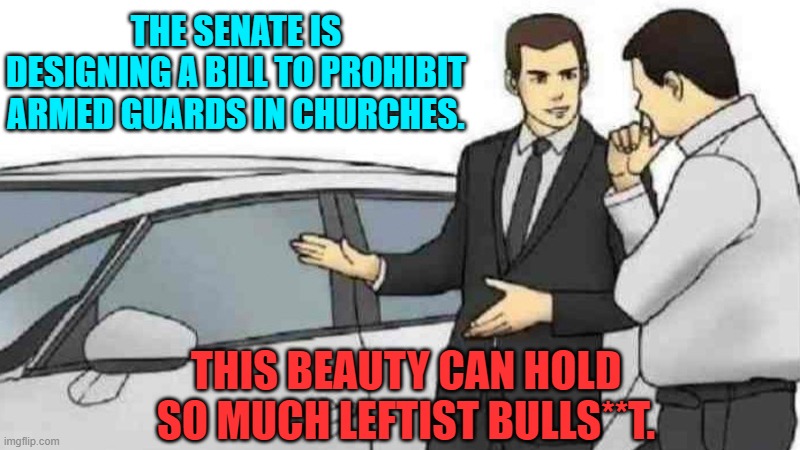 It has to do with the designation of a militia versus regulated security firm; and so forth. | THE SENATE IS DESIGNING A BILL TO PROHIBIT ARMED GUARDS IN CHURCHES. THIS BEAUTY CAN HOLD SO MUCH LEFTIST BULLS**T. | image tagged in car salesman slaps roof of car | made w/ Imgflip meme maker