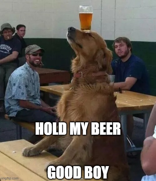 Wow! | HOLD MY BEER; GOOD BOY | image tagged in beer,dogs,hold my beer,cold beer here,the most interesting man in the world,craft beer | made w/ Imgflip meme maker