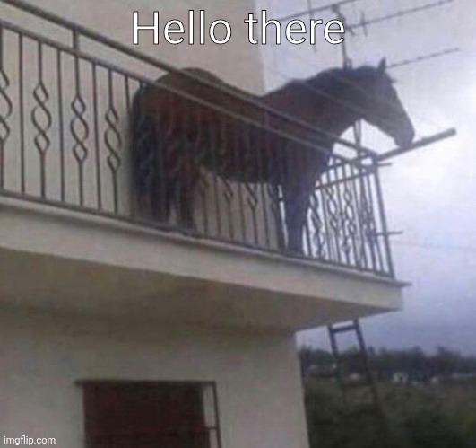 Juan | Hello there | image tagged in juan | made w/ Imgflip meme maker