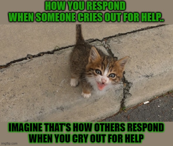 This #lolcat wonders why we don't treat others like we want them to treat us | HOW YOU RESPOND 
WHEN SOMEONE CRIES OUT FOR HELP.. IMAGINE THAT'S HOW OTHERS RESPOND
WHEN YOU CRY OUT FOR HELP | image tagged in lolcat,selfishness | made w/ Imgflip meme maker